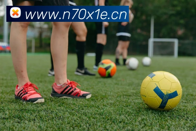 星空平台平台生态图